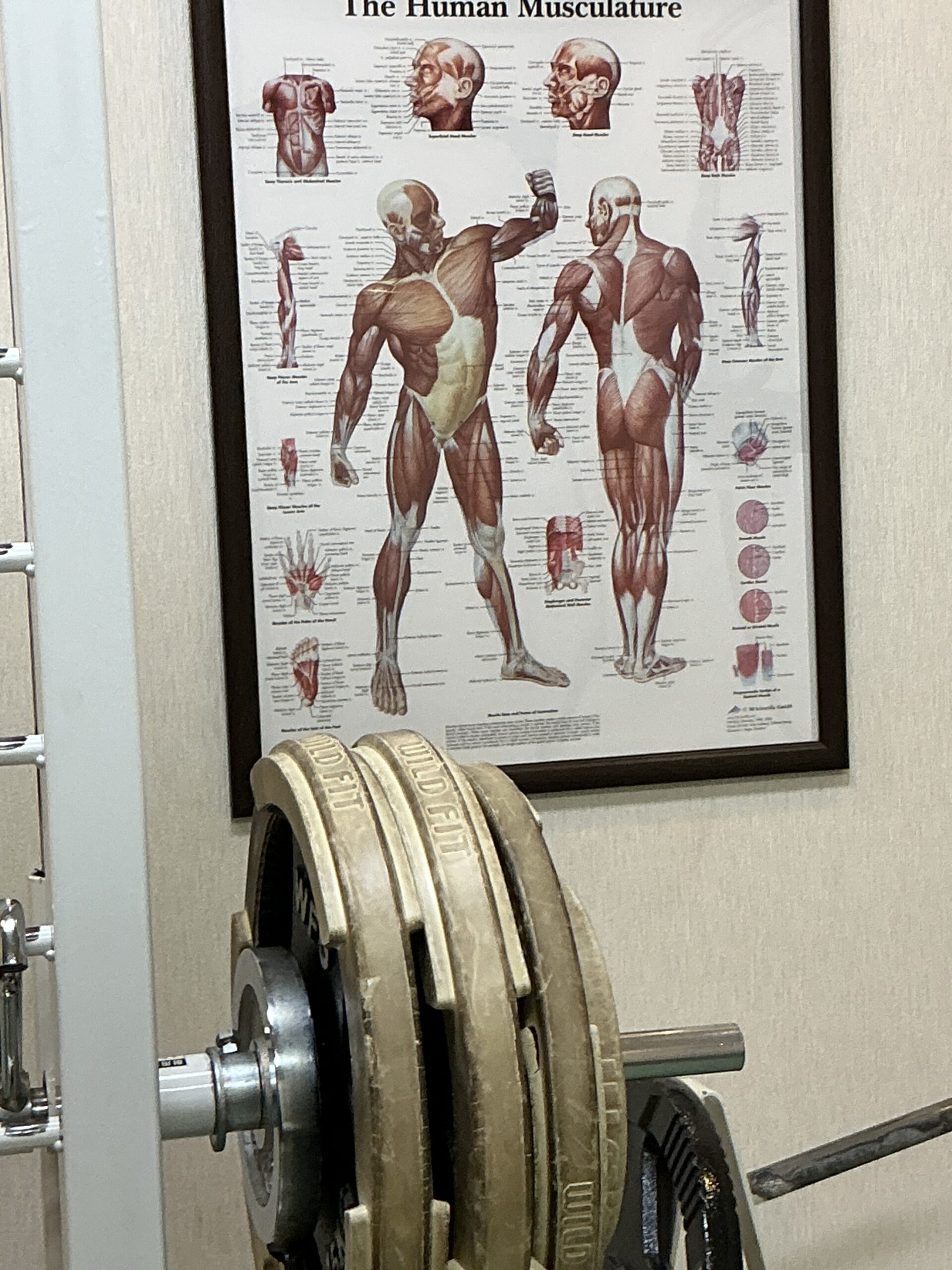 マウスピースでパワーが安定する理由を考える